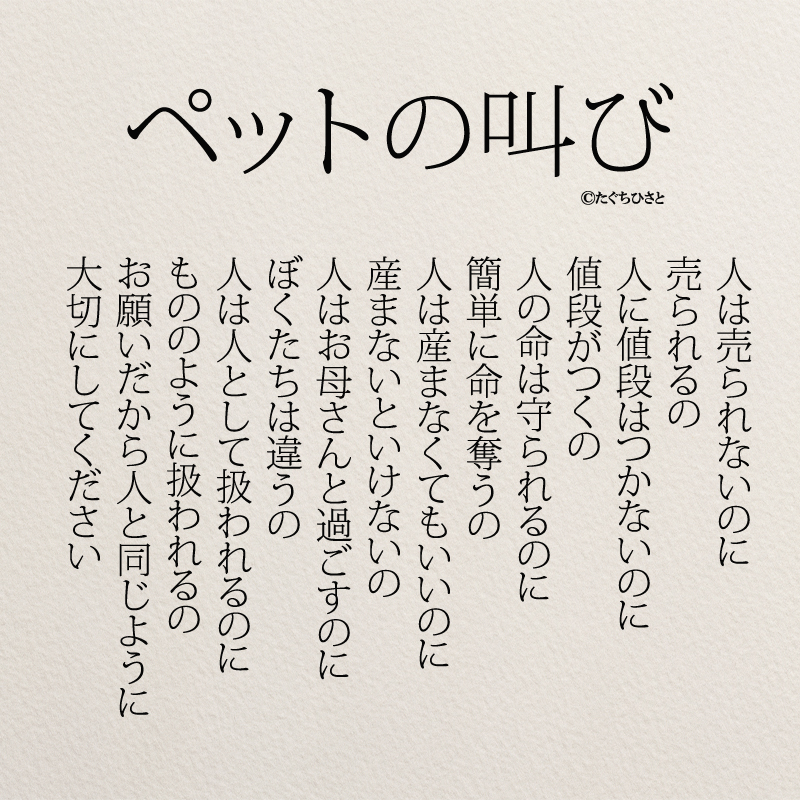 ペットの叫び  人は売られないのに 売られるの 人に値段はつかないのに 値段がつくの 人の命は守られるのに 簡単に命を奪うの 人は生まなくてもいいのに 産まないといけないの 人はお母さんと過ごすのに ぼくたちは違うの 人は人として扱われるのに ものように扱われるの お願いだから人と同じように 大切にしてください