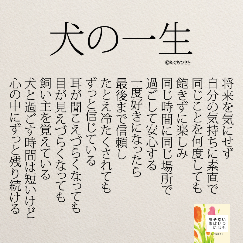 犬の一生 将来を気にせず 自分の気持ちに素直で 同じことを何度しても 飽きずに楽しみ 同じ時間に同じ場所で 過ごして安心する 一度好きになったら 最後まで信頼し たとえ冷たくされても ずっと信じている 耳が聞こえづらくなっても 目が見えづらくなっても 飼い主を覚えている 犬と過ごす時間は短いけど 心の中にずっと残り続ける