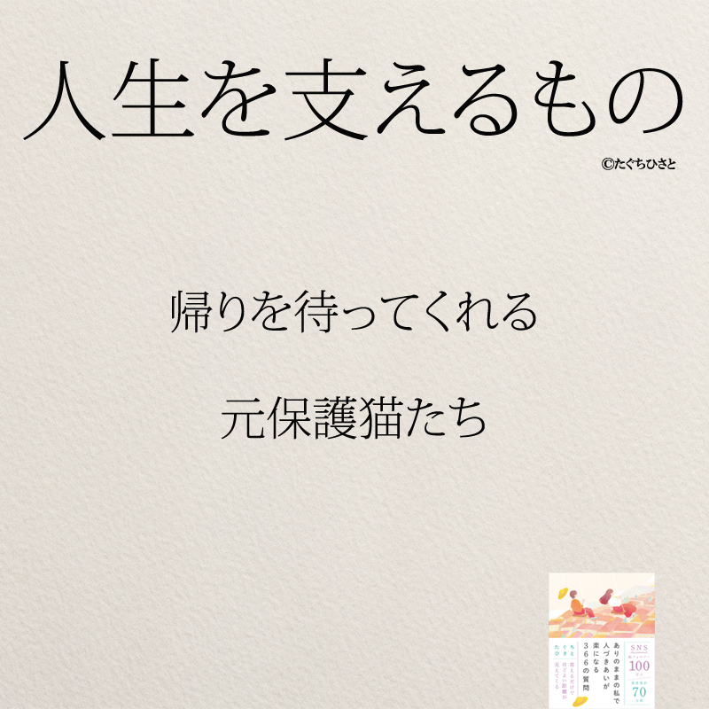 帰りを待ってくれる 元保護猫たち