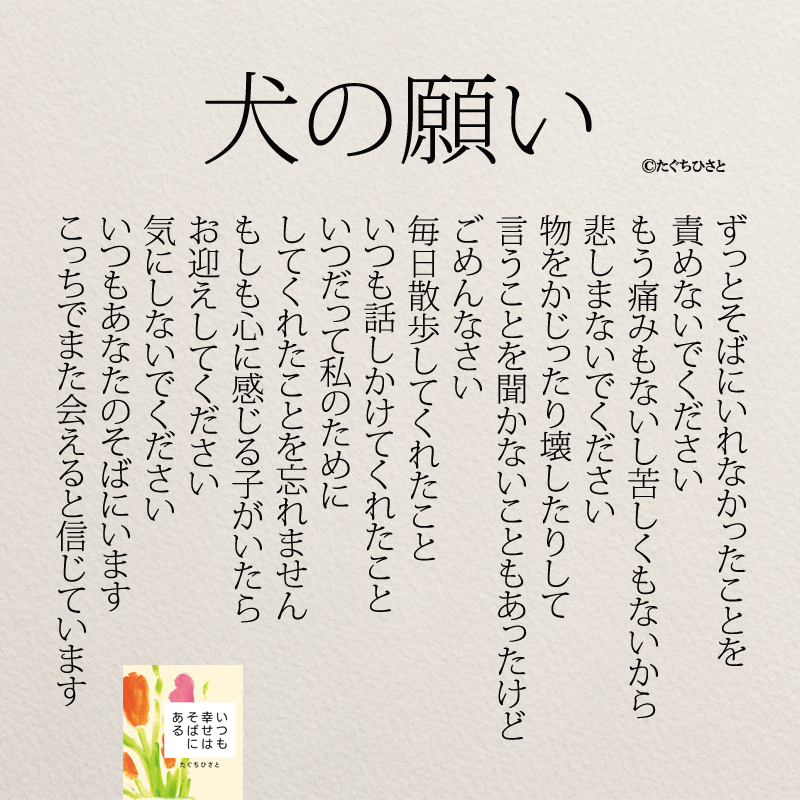 犬の願い ずっとそばにいれなかったことを 責めないでください もう痛みもないし苦しくもないから 悲しまないでください 物をかじったり壊したりして 言うことを聞かなくてごめんなさい 毎日散歩してくれたこと いつも話しかけてくれたこと いつだって私のためにしてくれたことを ずっと忘れません もしも心に感じる子がいたら お迎えしてください 気にしないでください いつもあなたのそばにいます こっちでまた会えると信じています